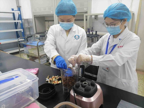 河南省食品检验研究院实验室开放日 见证食安检验卫士如何守护百姓餐桌安全