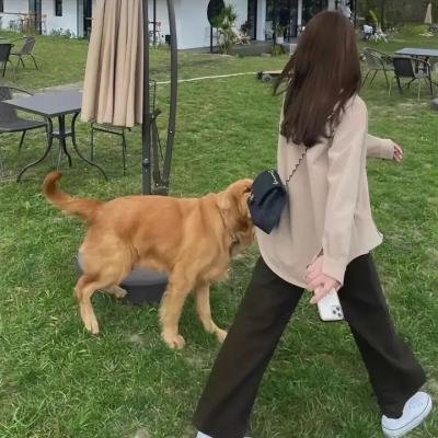 隔壁的星光